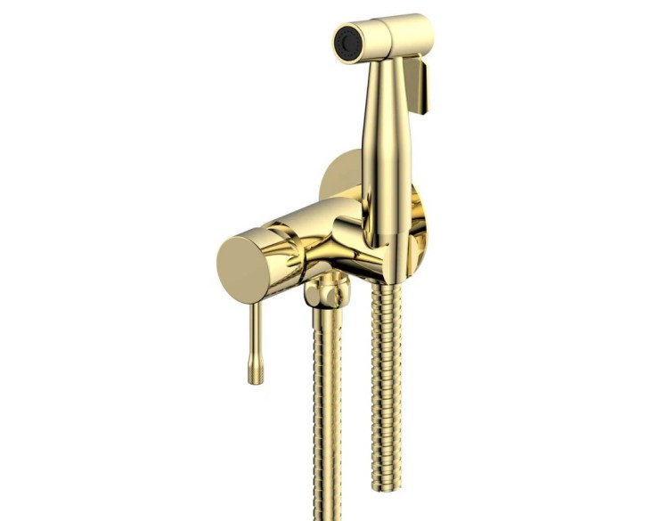 Гигиенический душ Lotis Mone 1043B, цвет polished brass PVD