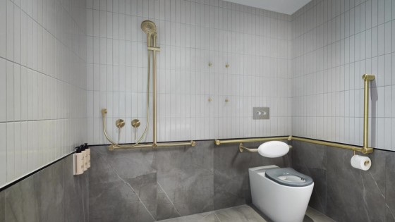 Крючок настенный Lotis Mone 1082BB 45х25мм, цвет brushed brass