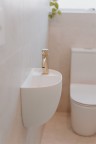 Смеситель для раковины Lotis Mone 1001BB цвет brushed brass