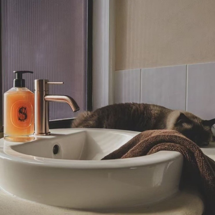 Смеситель для раковины Lotis Mone 1001CB цвет cooper brushed