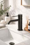 Смеситель для раковины Lotis Mone 1001BM цвет Matte Black