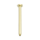 Кронштейн для верхнего душа Lotis Mone 316 1101BB 30 см, н/с, цвет brushed brass