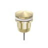 Донный клапан Lotis 1031BB универсальный, цвет brushed brass