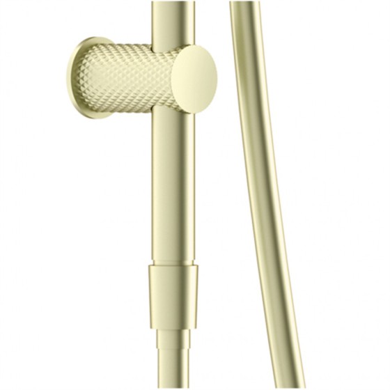 Душевой гарнитур Lotis Santi 1021BB штанга 61,5см, цвет brushed brass